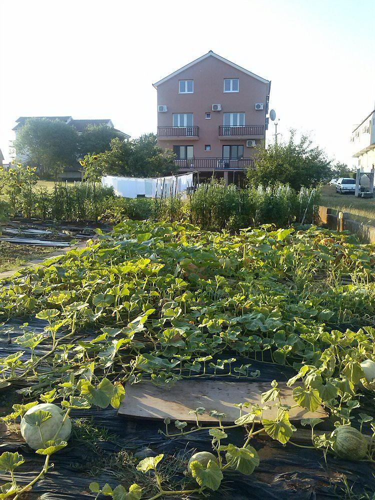Pansion Ivanka Barac Medugorje Bagian luar foto